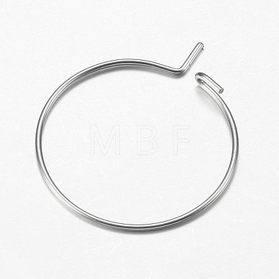 316 Surgical Stainless Steel Hoop Earrings Findings STAS-I097-050E-1