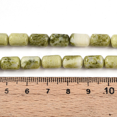Natural Jade Beads Strands G-N346-01B-13-1