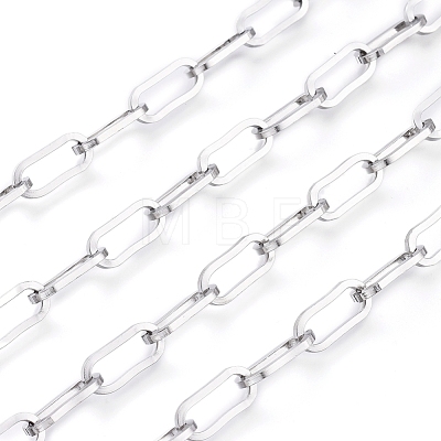 304 Stainless Steel Paperclip Chains CHS-D030-02P-1
