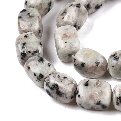 Natural Sesame Jasper/Kiwi Jasper Beads Strands G-T138-80-1