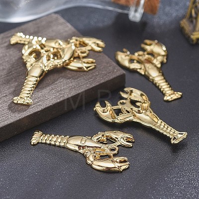 Tibetan Style Alloy Pendants TIBEP-A040-020G-NR-1