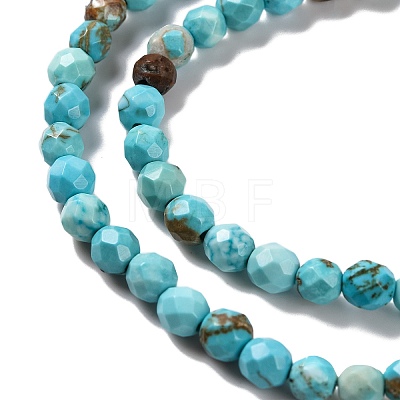 Natural Howlite Beads Strands G-C025-02C-06-1