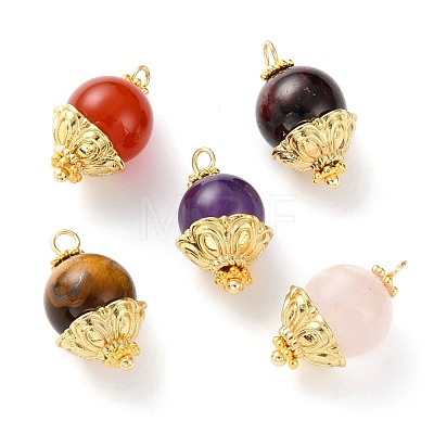 Natural Garnet & Carnelian & Rose Quartz & Amethyst & Tiger Eye Beads Pendants PALLOY-JF00579-1