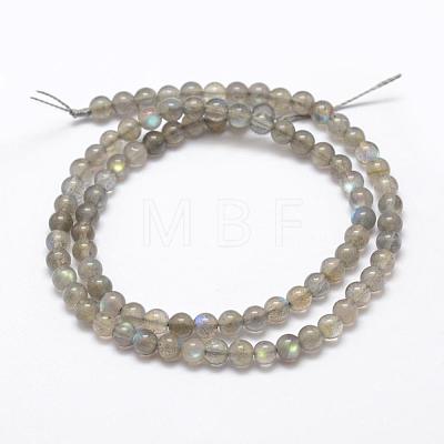 Natural Labradorite Beads Strands G-K209-04D-4mm-1