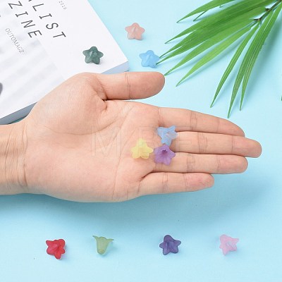 Mixed Color Transparent Acrylic Frosted Flower Beads X-PLF018-1