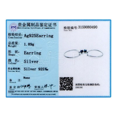 925 Sterling Silver Hoop Earrings EJEW-BB30561-1