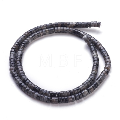 Natural Black Larvikite Beads Strands G-H230-27-1
