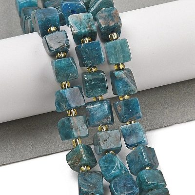 Natural Apatite Beads Strands G-G053-B18-03-1