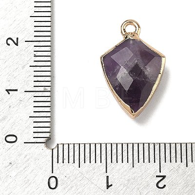 Natural Amethyst Pendants G-K422-01G-11-1