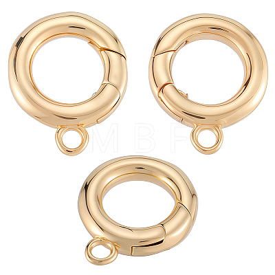 6Pcs Brass Spring Gate Clasps KK-SC0006-42G-01-1