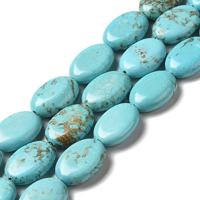 Natural Howlite Beads Strands G-C025-12A-1