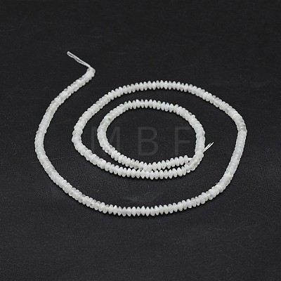 Natural Rainbow Moonstone Beads Strands G-I249-D15-1