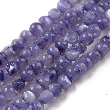 Natural White Shell Dyed Beads Strands BSHE-Z005-03C-1
