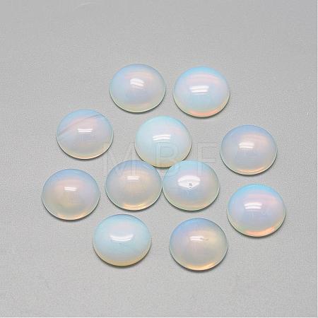 Opalite Cabochons G-R416-6mm-49-1