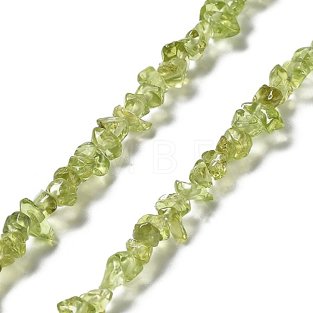 Natural Peridot Beads Strands X-G-E607-A06-1