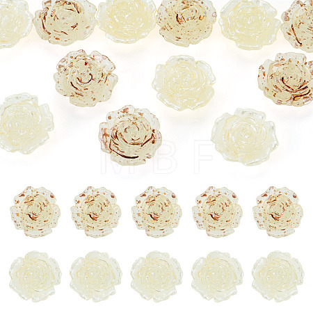 12Pcs 2 Colors Transaprent Resin Enamel Cabochons CRES-TA0001-91-1