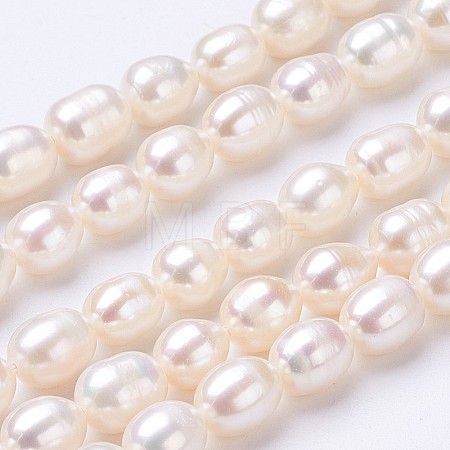 Natural Cultured Freshwater Pearl Beads Strands PEAR-P002-55-01-1