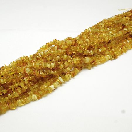 Natural Amber Chip Beads Strands X-G-E333-01A-1