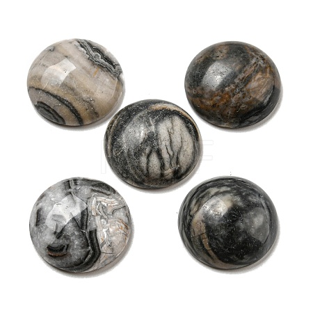 Natural Crazy Agate Cabochons G-C115-02A-42-1