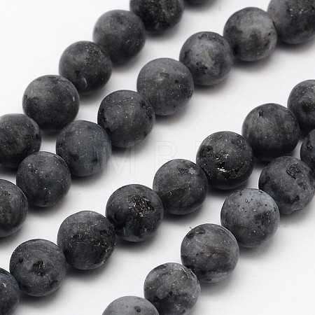 Natural Larvikite Beads Strands G-D692-10mm-1