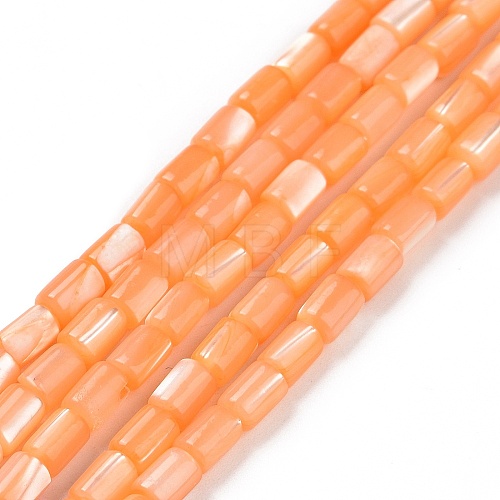 Natural Trochus Shell Beads Strands SSHEL-H070-01F-1