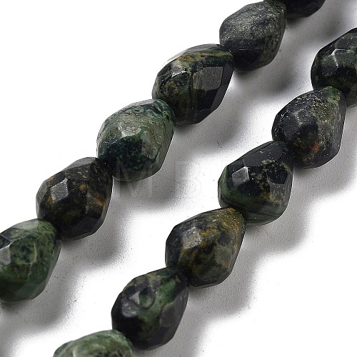 Natural Kambaba Jasper Beads Strands G-P520-B19-01-1