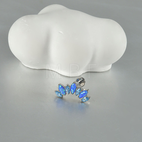 G23 Titanium Alloy Cartilage Earrings WG58240-04-1