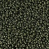 MIYUKI Round Rocailles Beads SEED-JP0008-RR0306-3