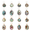 AHADERMAKER 16Pcs 4 Styles Natural Abalone Shell/Paua Shell Pendants SHEL-GA0001-11-1