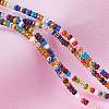   Glass Seed Beads SEED-PH0009-01-6
