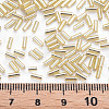 Plated Glass Bugle Beads SEED-S046-01A-22-4