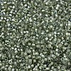 MIYUKI Delica Beads SEED-J020-DB2378-2