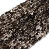 Natural Smoky Quartz Beads Strands G-I389-A31-01B-2