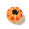 Opaque Resin Imitation Food Decoden Cabochons CRES-A058-02F-1