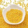 Baking Paint Glass Seed Beads SEED-S042-05B-82-2