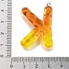 Resin Pendant FIND-Q107-01K-02-3