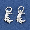 925 Sterling Silver Moon with Bowknot Charms STER-P071-05S-2