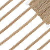 Sparkle Braided Polyester Lace Trim OCOR-WH0079-24A-2