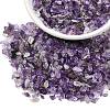 Natural Amethyst Chip Beads X-G-L453-06-5