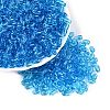 Transparent Glass Beads GLAA-Q113-01A-A03-1