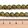 Handmade Lampwork Beads Strand LAMP-B056-8mm-20-5