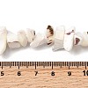 Natural Trochid Shell/Trochus Shell Beads Strands SHEL-B003-02J-4