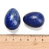 Dyed Natural Lapis Lazuli Egg Stone GG-L654-H02-04-3