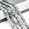 Natural Variscite Beads Strands G-T140-41A-1
