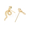 Green Cubic Zirconia Snake Stud Earrings X-EJEW-F282-25G-4