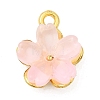 Alloy Glass Charms FIND-C079-05G-01-1