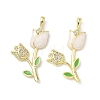 Brass Micro Pave Cubic Zirconia with Enamel Pendants KK-Z134-05G-01-1
