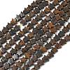 Natural Bronzite Beads Strands G-G085-B60-02-2