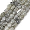 Natural Labradorite Beads Strands G-P623-A03-01-2