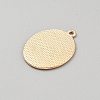 Zinc Alloy Enamel Pendants FIND-CJC0437-008A-2